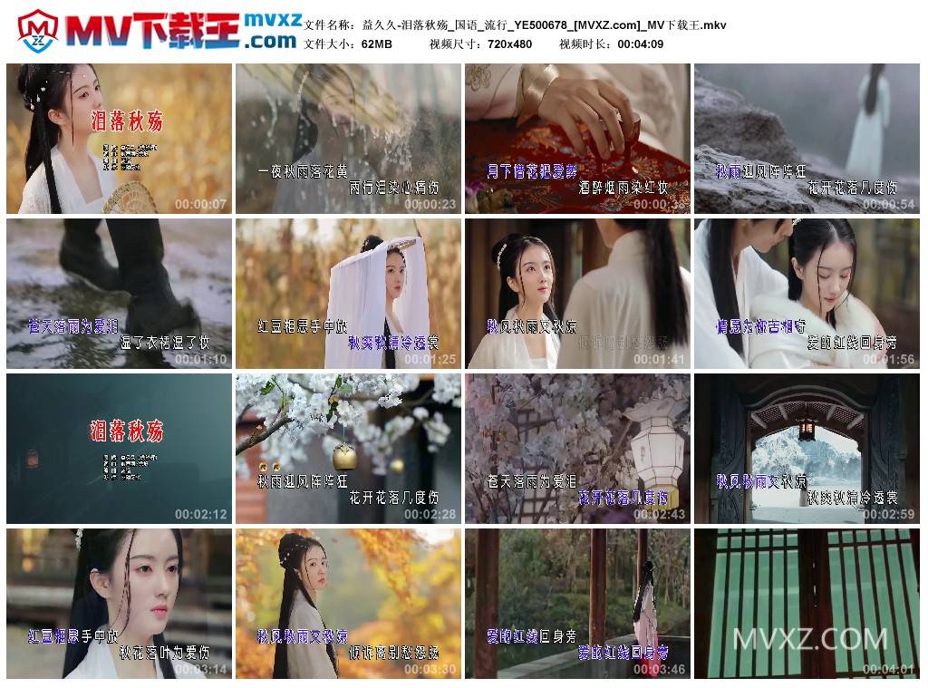 益久久-泪落秋殇_国语_流行_YE500678